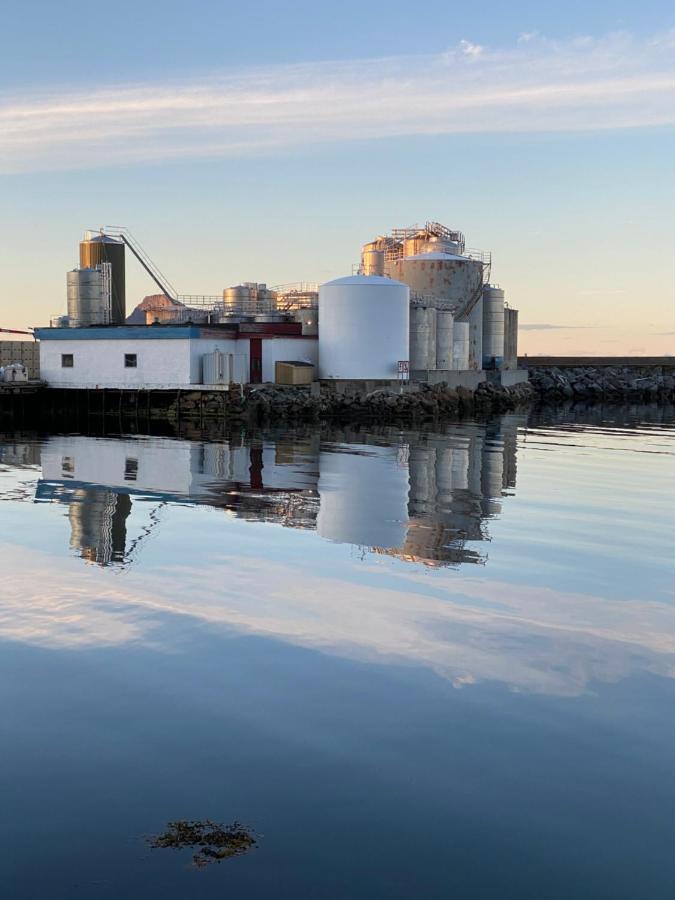 Nordlandshuset "Lottebakken", Ballstad In Lofoten Exteriör bild