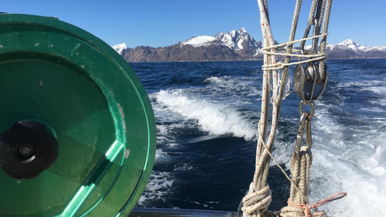 Nordlandshuset "Lottebakken", Ballstad In Lofoten Exteriör bild