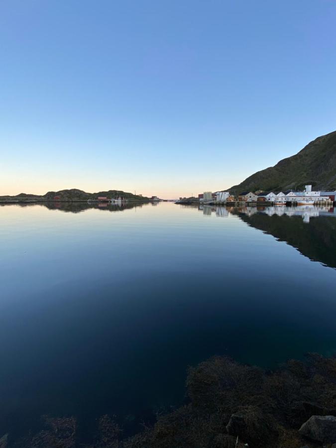 Nordlandshuset "Lottebakken", Ballstad In Lofoten Exteriör bild