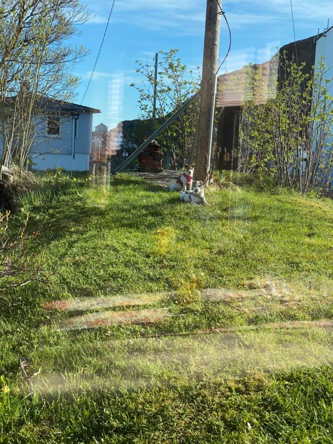 Nordlandshuset "Lottebakken", Ballstad In Lofoten Exteriör bild