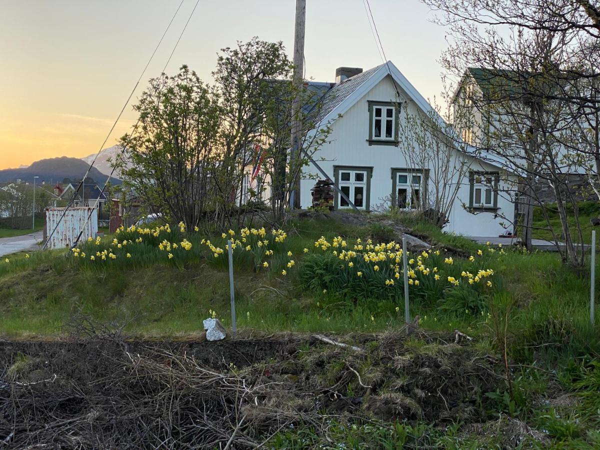 Nordlandshuset "Lottebakken", Ballstad In Lofoten Exteriör bild
